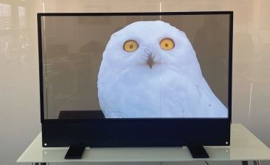 aangepast Ultra Thin OLED Transparent Display Voor reclame binnen
